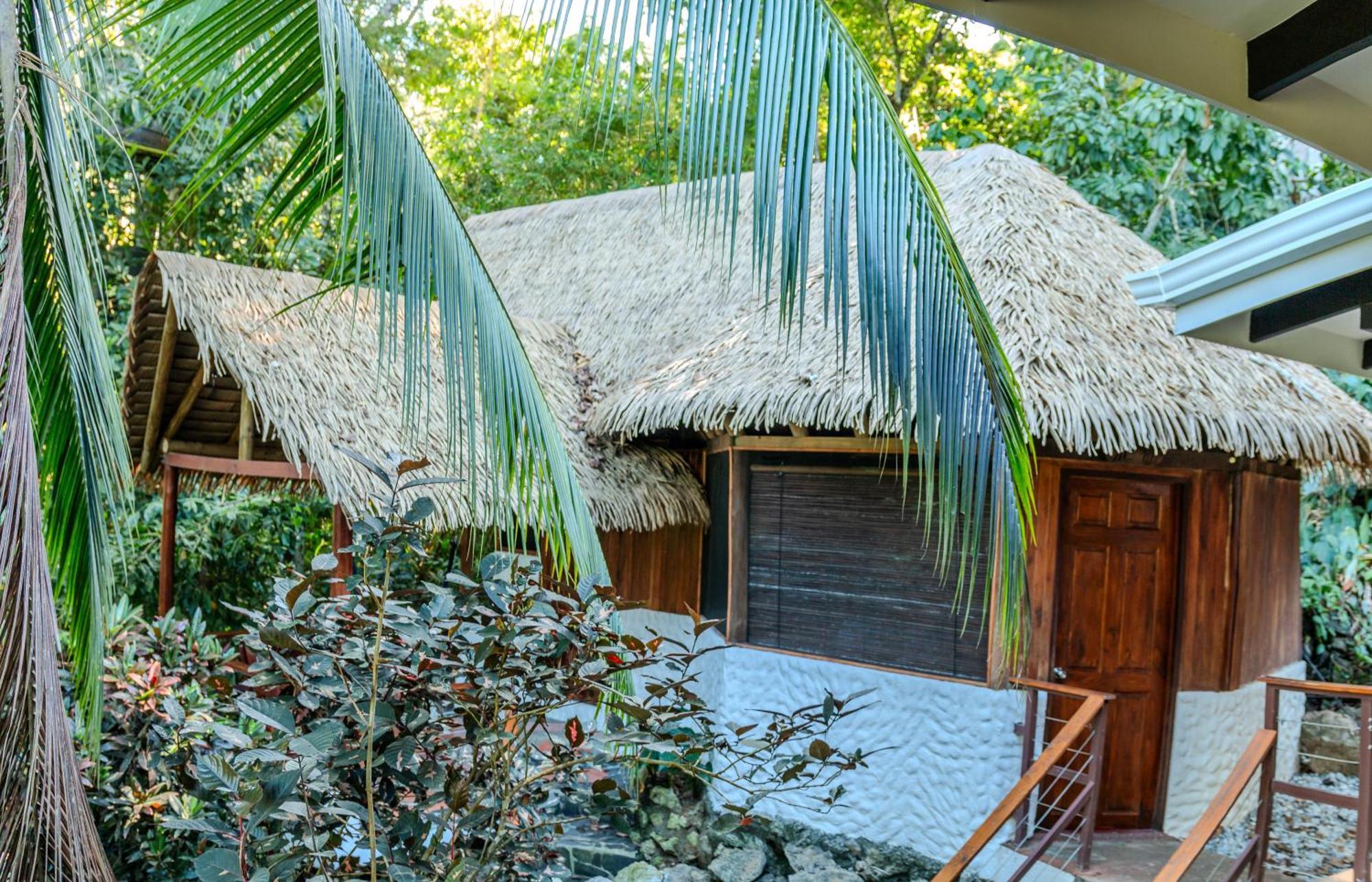 Encanta La Vida Hotell Cabo Matapalo Exteriör bild
